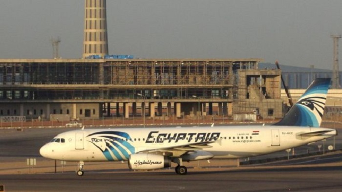 Egyptian hijacker`s lawyer seeks human rights expert